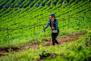 BIB: 2197
                            <button type="button" onclick="openModal(19162015)" class="btn btn-primary btn-sm float-right btn-popup" data-toggle="modal" data-target=".modal-high-quality">
                        <i class="fas fa-shopping-cart"></i> Add to Cart
                    </button>
                                            <button type="button" onclick="isThisMe(19162015, true)" class="btn btn-success btn-sm float-right btn-popup btn-isme hidden" data-toggle="tooltip" data-placement="bottom" title="นี่คือรูปของคุณใช่ไหม คลิกที่นี่เพื่อเอาเข้าอัลบั้ม">
                        <i class="fas fa-plus"></i> Add to album
                    </button>
                    <button type="button" onclick="isThisMe(19162015, false)" class="btn btn-warning btn-sm float-right btn-popup btn-isnotme hidden">
                        <i class="fas fa-ban"></i> Remove from album
                    </button>